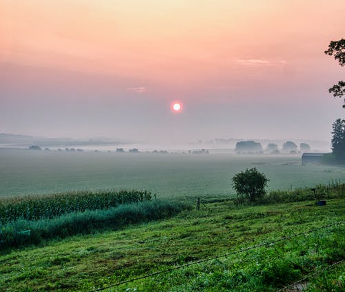 有关土地, 夏天, 太阳的免费素材图片