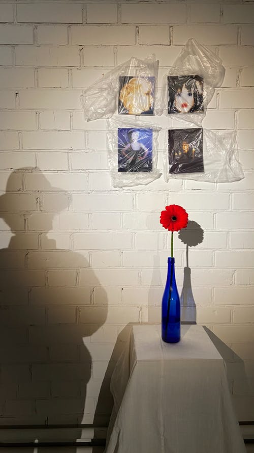 有关剪影, 图片, 垂直拍摄的免费素材图片