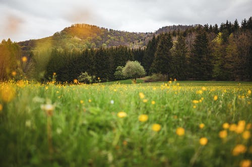 有关天性, 山, 景观的免费素材图片