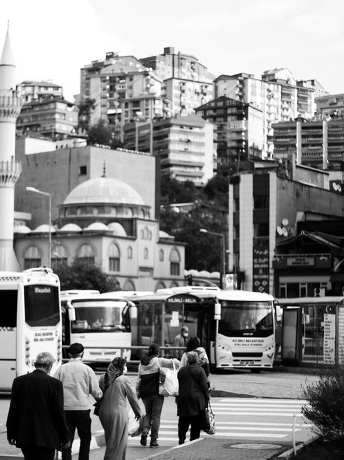 有关公车, 单色, 垂直拍摄的免费素材图片