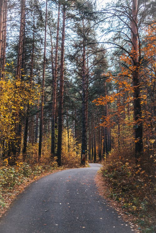 有关下落, 垂直拍摄, 天性的免费素材图片
