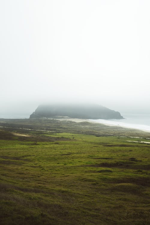 有关bigsur, 农村的场景, 前景的免费素材图片