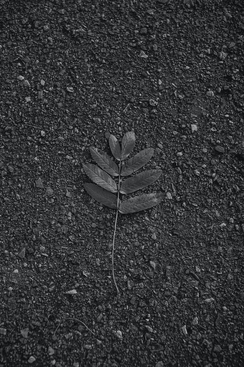 有关单色, 地面, 垂直拍摄的免费素材图片