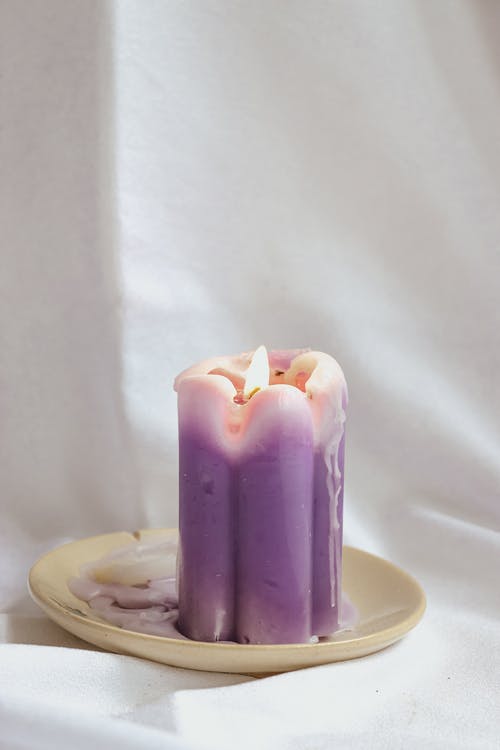 有关Copyspace, 室内, 托盘的免费素材图片