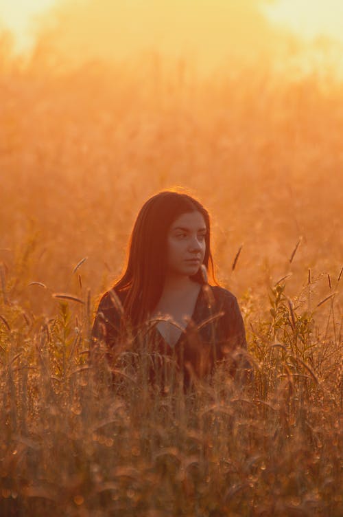 有关下落, 人, 夏天的免费素材图片
