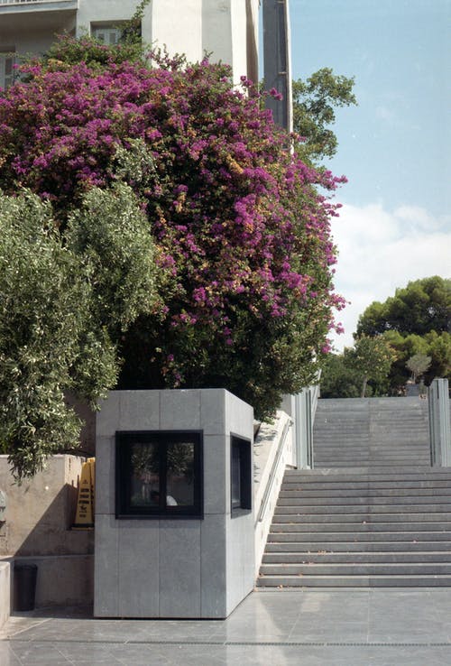 有关35毫米, 亭, 建筑的免费素材图片