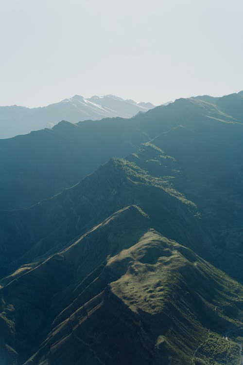 有关垂直拍摄, 天性, 天空的免费素材图片