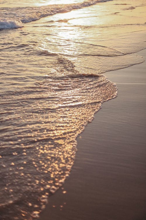 有关冷靜, 垂直拍摄, 岸邊的免费素材图片