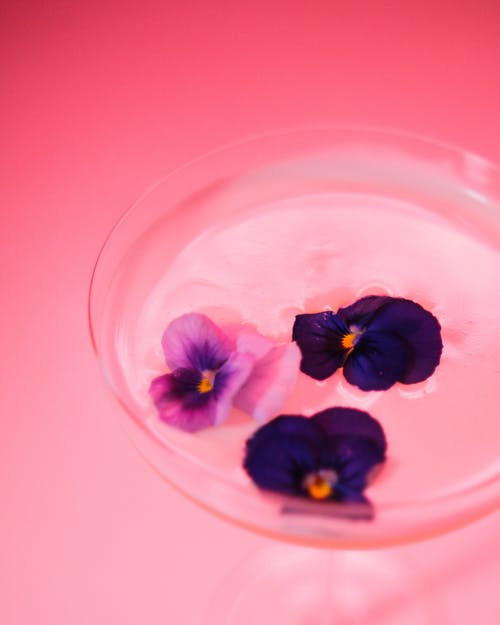 有关三色紫罗兰, 垂直拍摄, 室内的免费素材图片