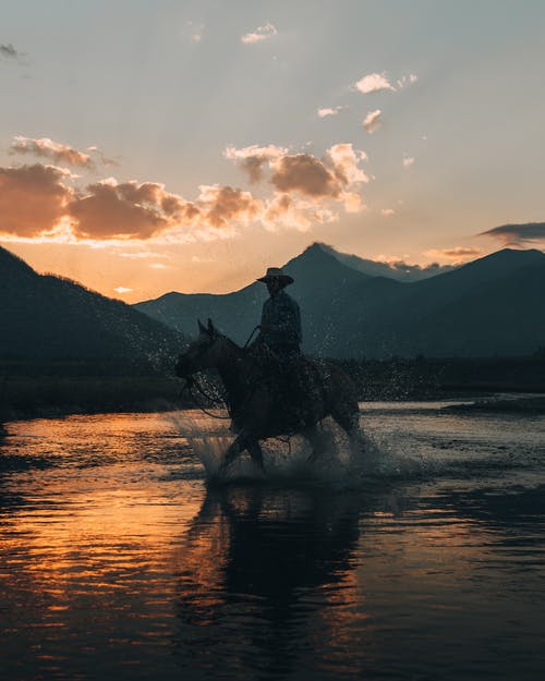 有关一个人, 人, 垂直拍摄的免费素材图片