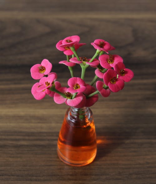 有关工厂, 微妙, 木桌的免费素材图片