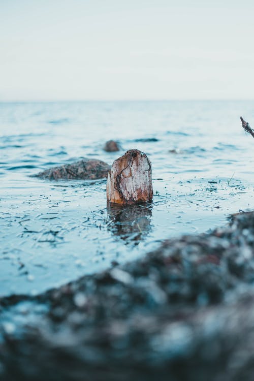 有关垂直拍摄, 天, 户外的免费素材图片