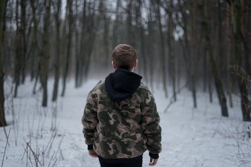 有关Copyspace, 冬季, 冷的免费素材图片