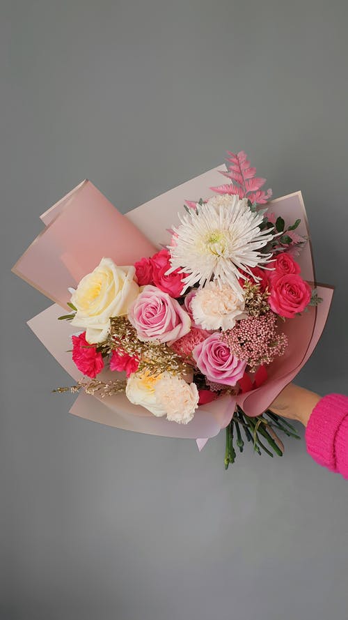 有关人的手臂, 工作室拍摄, 干的免费素材图片