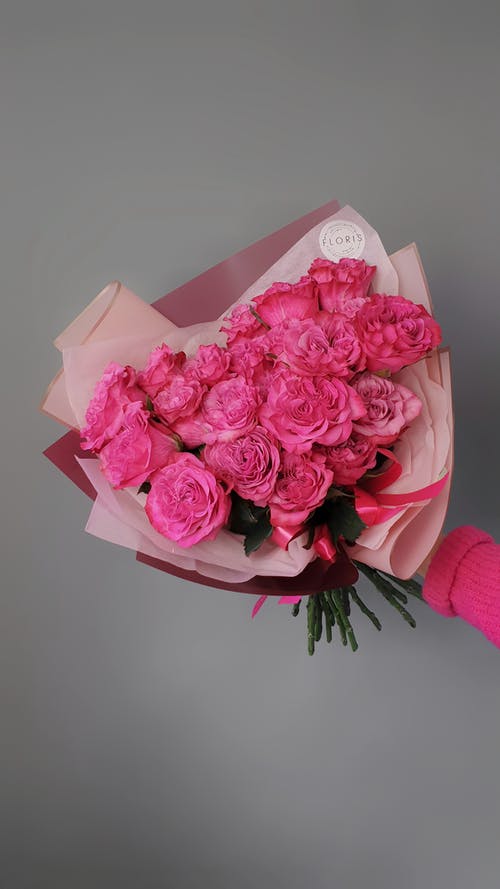 有关人的手臂, 工作室拍摄, 干的免费素材图片