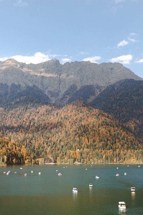 有关入境, 利察遗物, 乔治亚州的免费素材图片