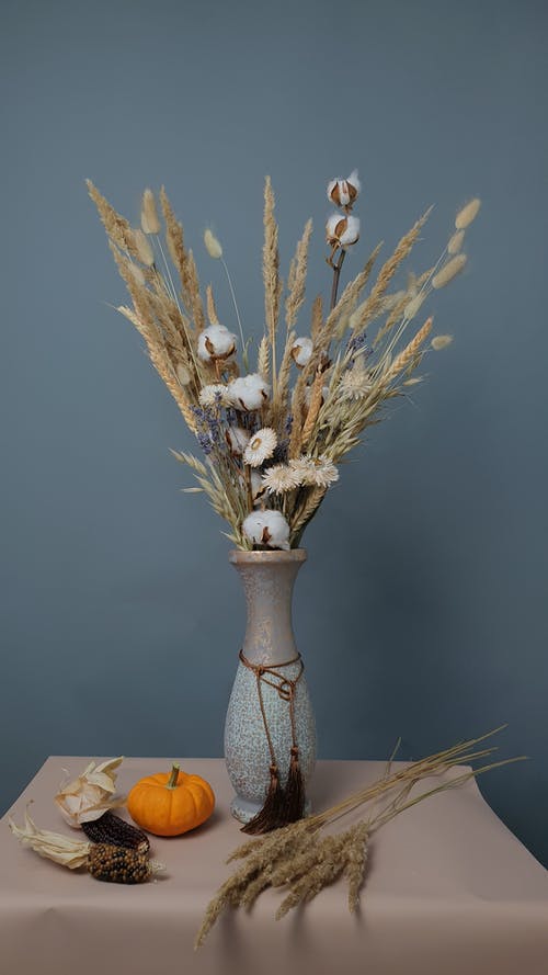 有关乾燥花, 南瓜, 小穗的免费素材图片