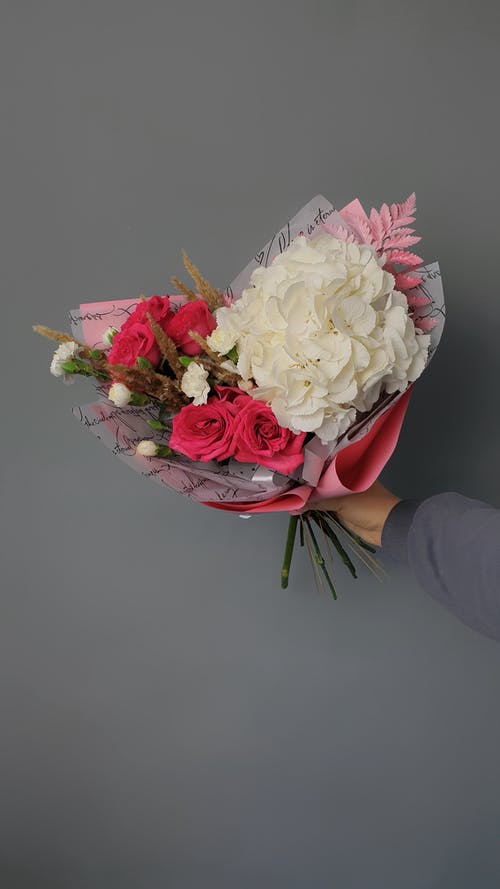 有关工作室拍摄, 灰色的背景, 玫瑰的免费素材图片