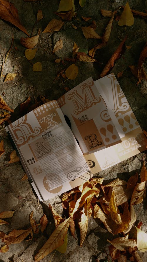 有关促进, 商业, 地面的免费素材图片