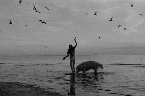 有关35毫米, 35毫米胶片, 人的免费素材图片