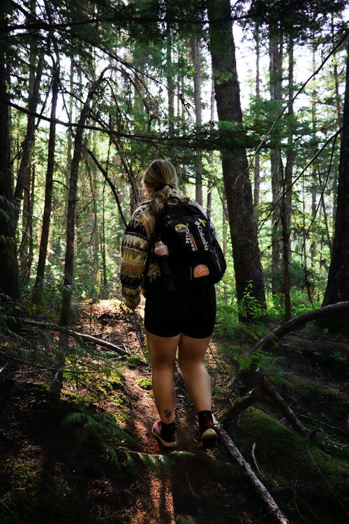 有关分支机构, 女性, 後视图的免费素材图片