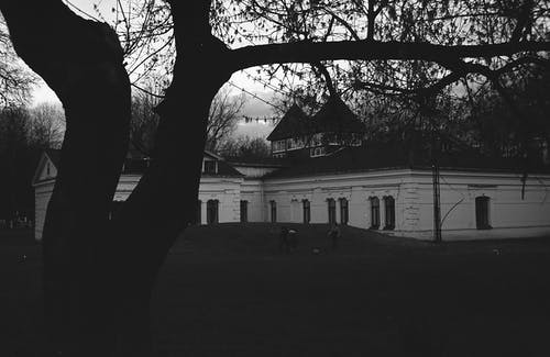 有关反对光明, 家, 户外的免费素材图片