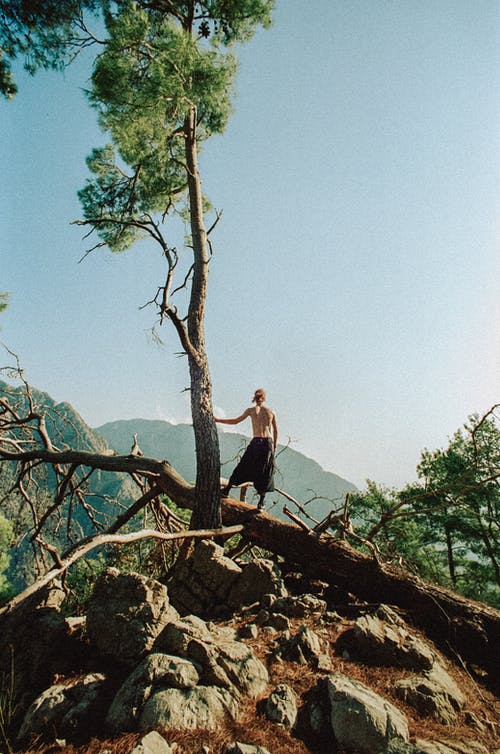 有关Copyspace, 后视图, 堕落的免费素材图片