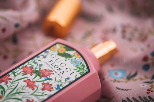 有关Gucci, 健康, 室内的免费素材图片