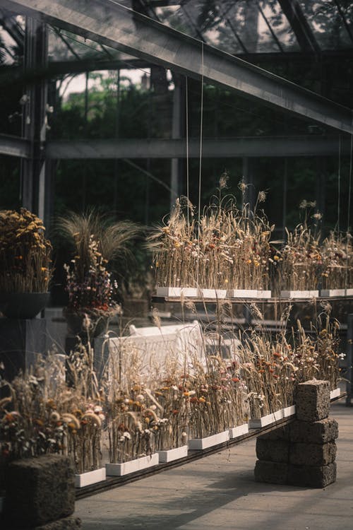 有关4k, 垂直拍摄, 壁纸的免费素材图片