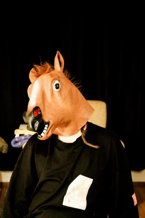 有关horse mask, 一个人, 垂直拍摄的免费素材图片