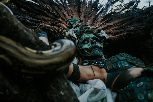 有关上帝, 低角度视图, 动物的免费素材图片