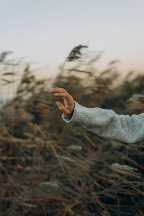 有关人的手, 垂直拍摄, 多风的免费素材图片