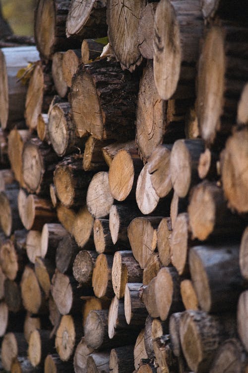 有关原本, 垂直拍摄, 木材的免费素材图片