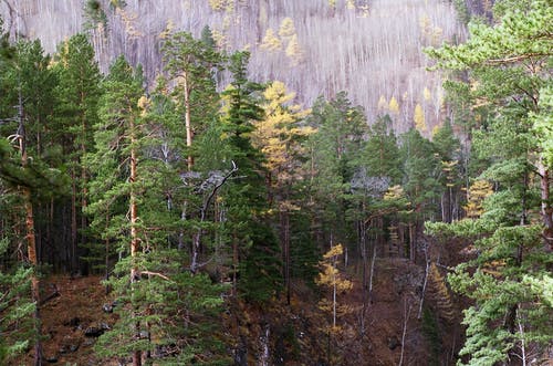 有关天性, 山边, 户外的免费素材图片