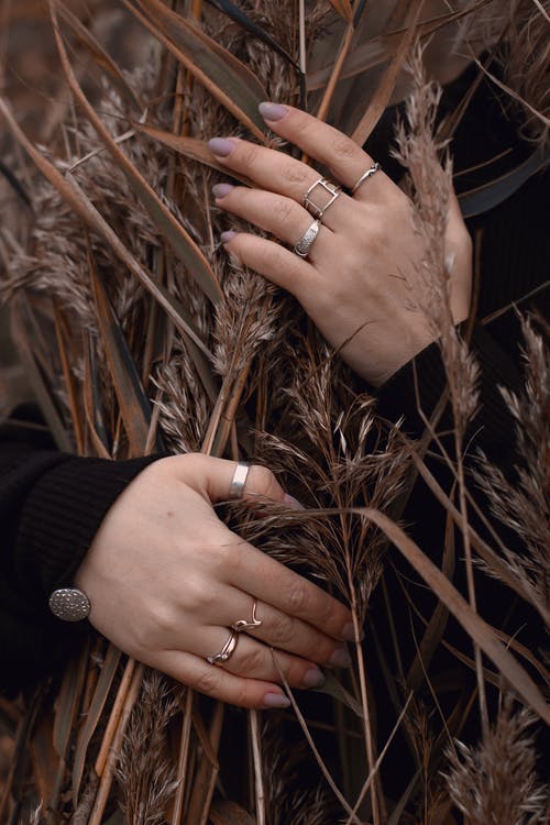 有关人的手, 增长, 女人的免费素材图片