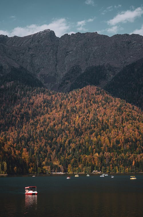 有关利察遗物, 乔治亚州, 国家公园的免费素材图片