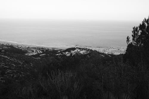 有关山丘, 户外, 树的免费素材图片