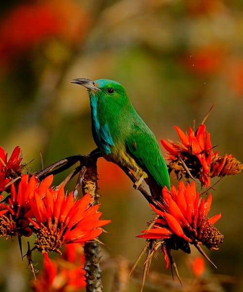 有关垂直拍摄, 干, 户外的免费素材图片
