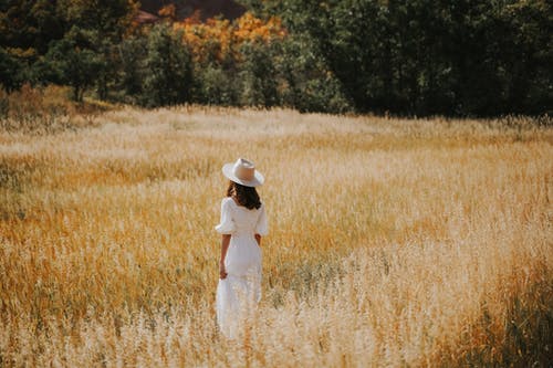 有关卷发, 后视图, 夏装的免费素材图片