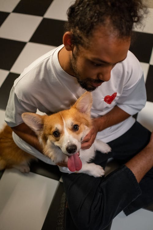 有关人, 动物爱好者, 可爱的免费素材图片