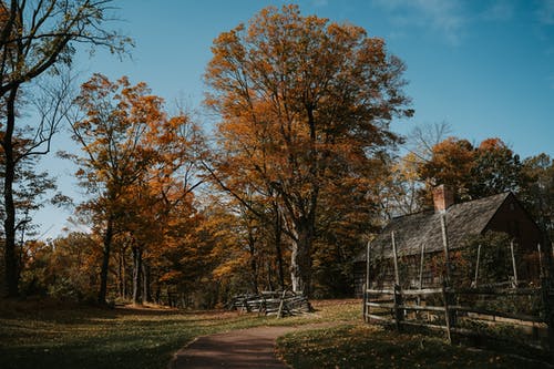 有关下落, 人行道, 公园的免费素材图片