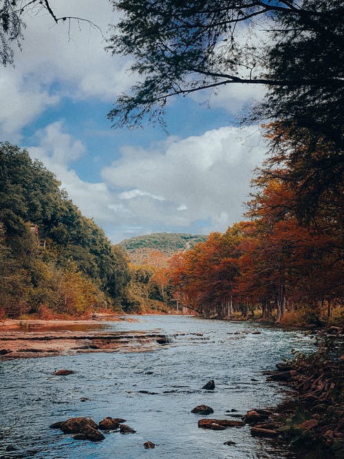 有关下落, 垂直拍摄, 天性的免费素材图片