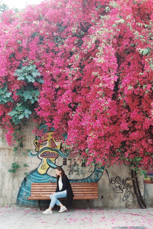 有关九重葛, 人, 坐的免费素材图片