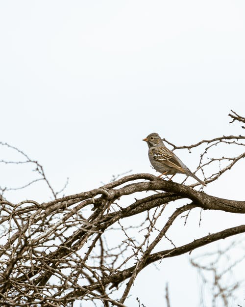 有关垂直拍摄, 户外, 日光的免费素材图片