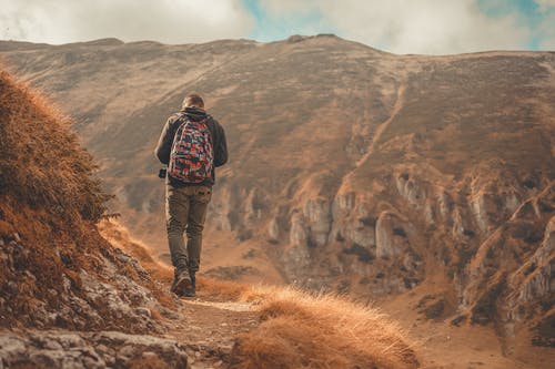 有关人, 健行, 冒险的免费素材图片