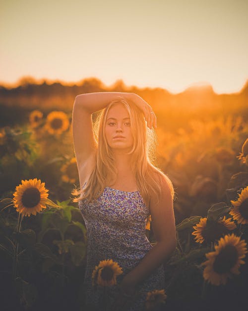 有关农业领域, 农村的场景, 向日葵的免费素材图片