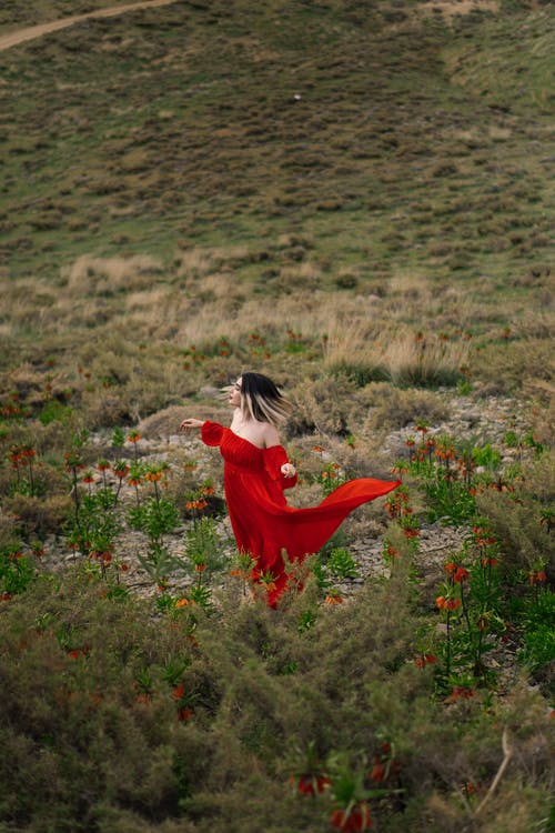 有关吹, 天性, 女人的免费素材图片