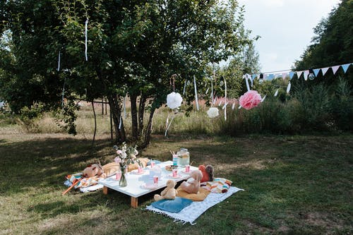 有关户外, 树, 派对的免费素材图片