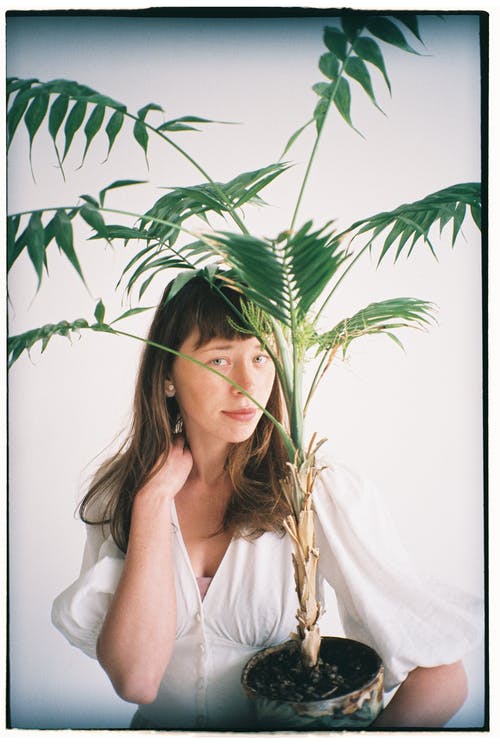 有关刘海, 工厂, 握住的免费素材图片