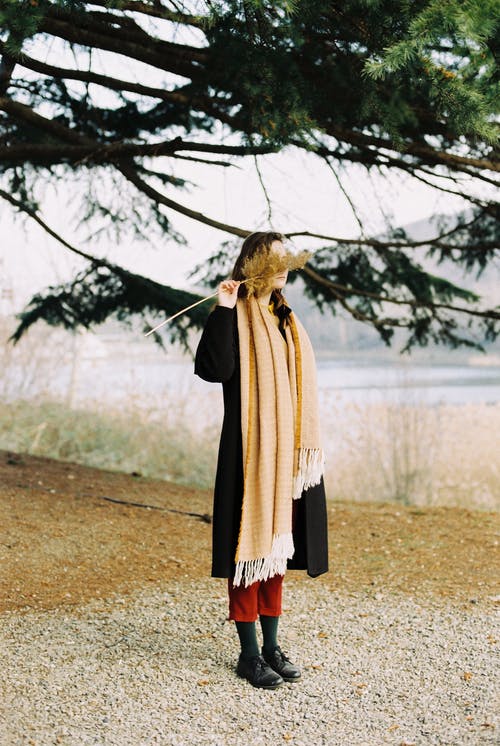 有关outdooors, 分支机构, 女性的免费素材图片